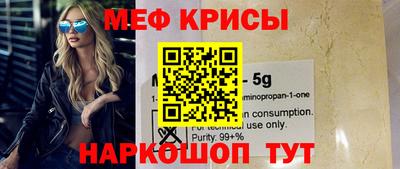 стаф Гай