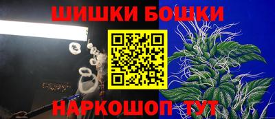 шишки Гагарин