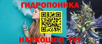шишки Гагарин
