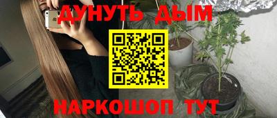 стаф Гай