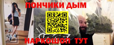 стаф Гай