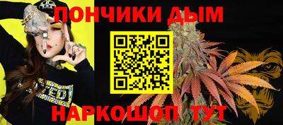шишки Гагарин