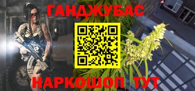 стаф Гай