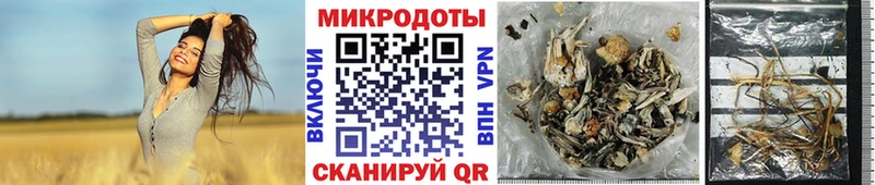 Псилоцибиновые грибы Magic Shrooms наркотики Тара