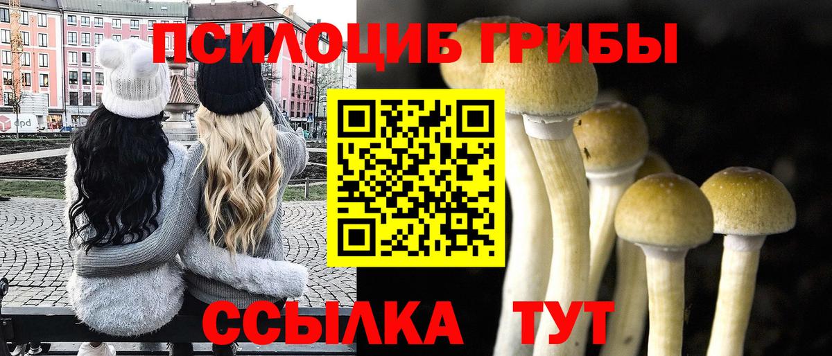 Псилоцибиновые грибы Psilocybine cubensis  Тара 